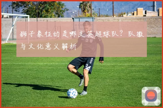 狮子象征的是哪支英超球队？队徽与文化意义解析