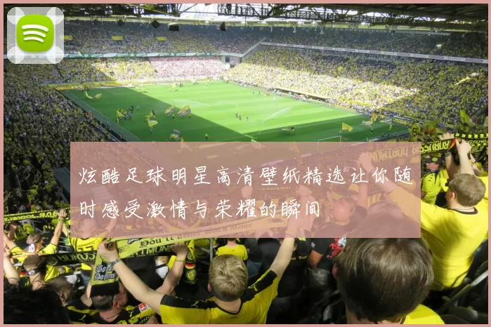 炫酷足球明星高清壁纸精选让你随时感受激情与荣耀的瞬间