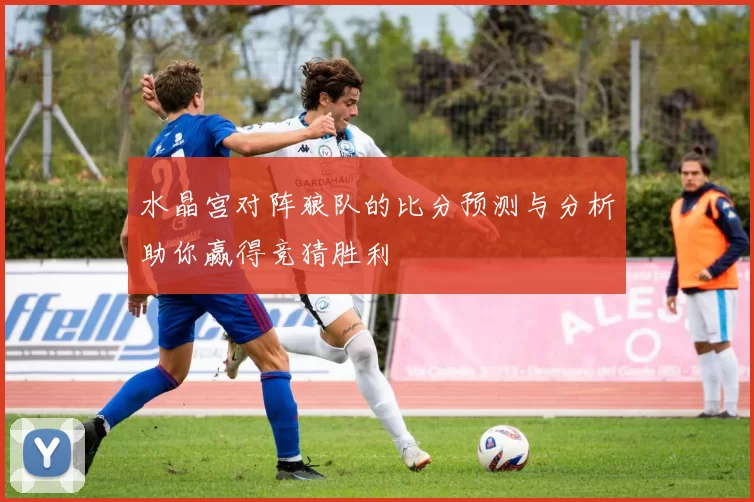 水晶宫对阵狼队的比分预测与分析助你赢得竞猜胜利