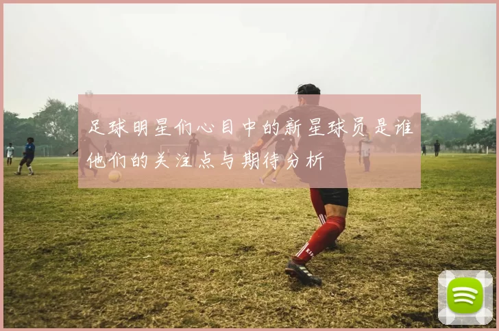 足球明星们心目中的新星球员是谁他们的关注点与期待分析