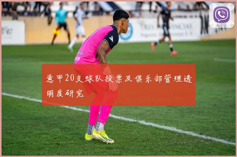 意甲20支球队投票及俱乐部管理透明度研究