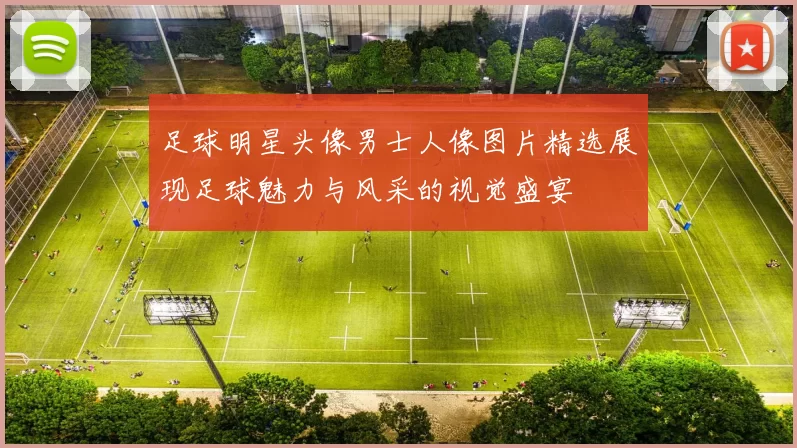 足球明星头像男士人像图片精选展现足球魅力与风采的视觉盛宴