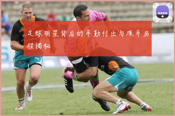 足球明星背后的辛勤付出与艰辛历程揭秘