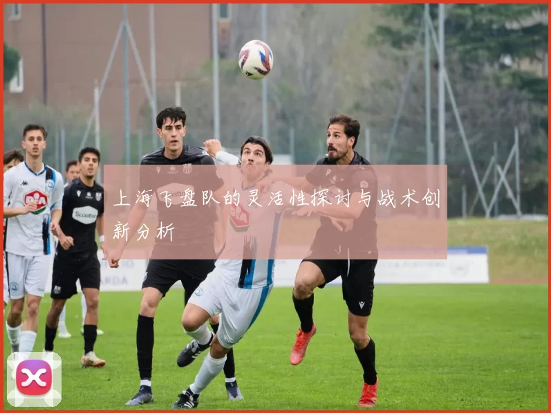 上海飞盘队的灵活性探讨与战术创新分析