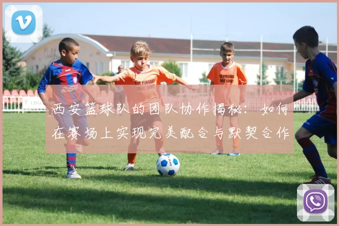 西安篮球队的团队协作揭秘：如何在赛场上实现完美配合与默契合作