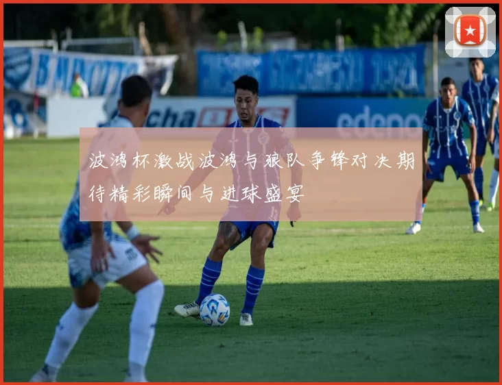 波鸿杯激战波鸿与狼队争锋对决期待精彩瞬间与进球盛宴