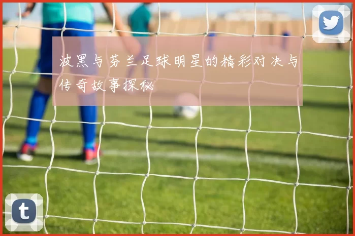 波黑与芬兰足球明星的精彩对决与传奇故事探秘