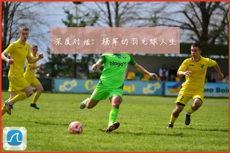 深度对话：杨军的羽毛球人生