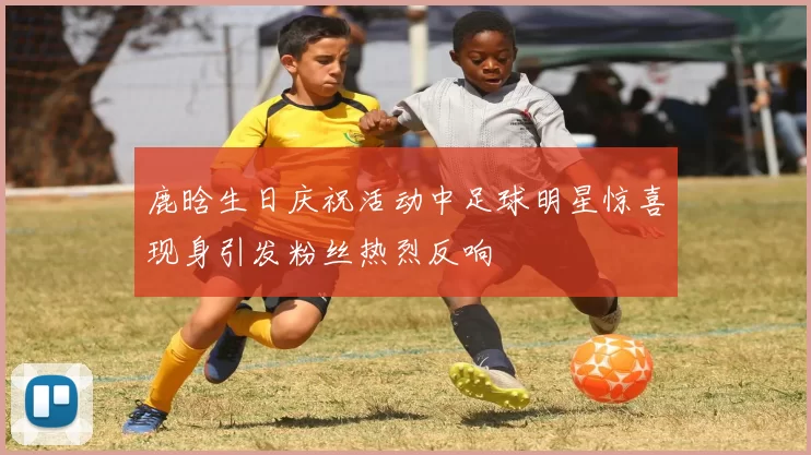 鹿晗生日庆祝活动中足球明星惊喜现身引发粉丝热烈反响