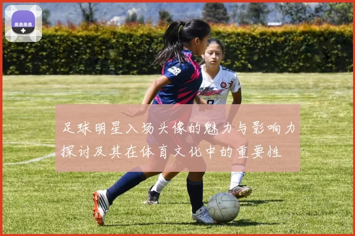 足球明星入场头像的魅力与影响力探讨及其在体育文化中的重要性