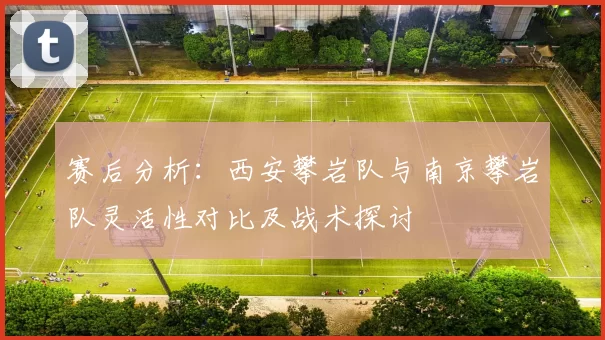 赛后分析：西安攀岩队与南京攀岩队灵活性对比及战术探讨