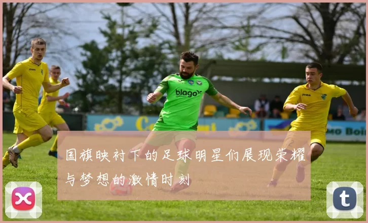 国旗映衬下的足球明星们展现荣耀与梦想的激情时刻