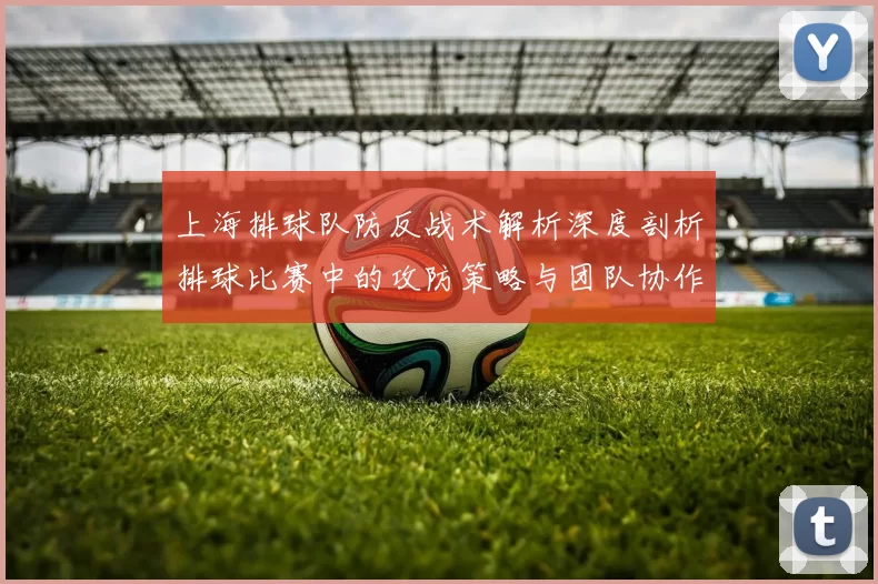 上海排球队防反战术解析深度剖析排球比赛中的攻防策略与团队协作