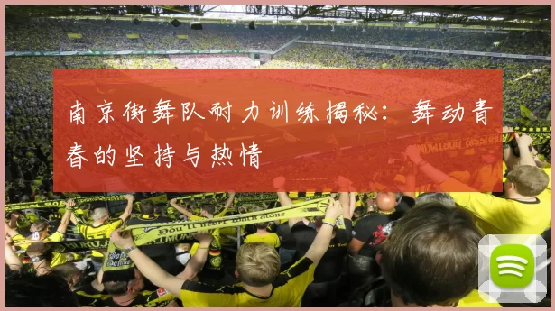 南京街舞队耐力训练揭秘：舞动青春的坚持与热情