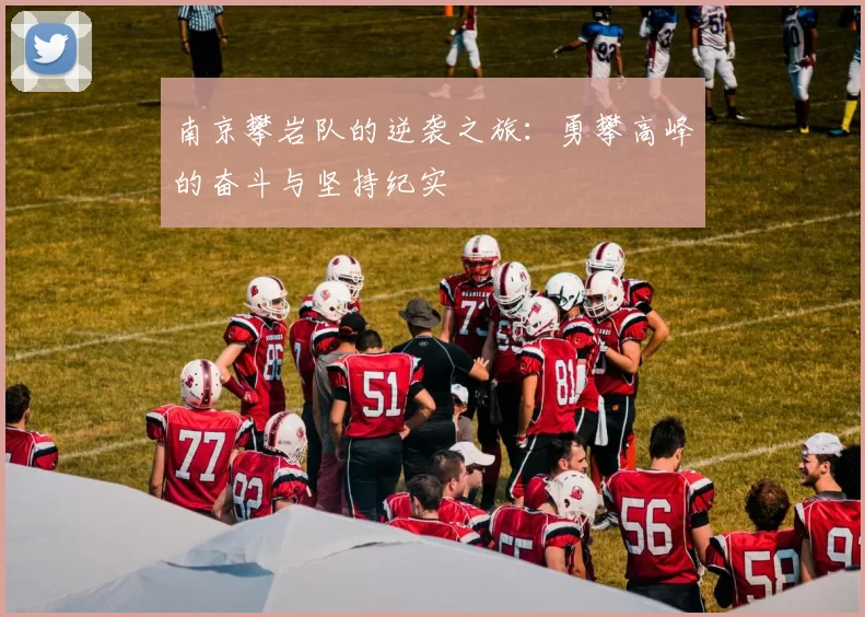 南京攀岩队的逆袭之旅：勇攀高峰的奋斗与坚持纪实