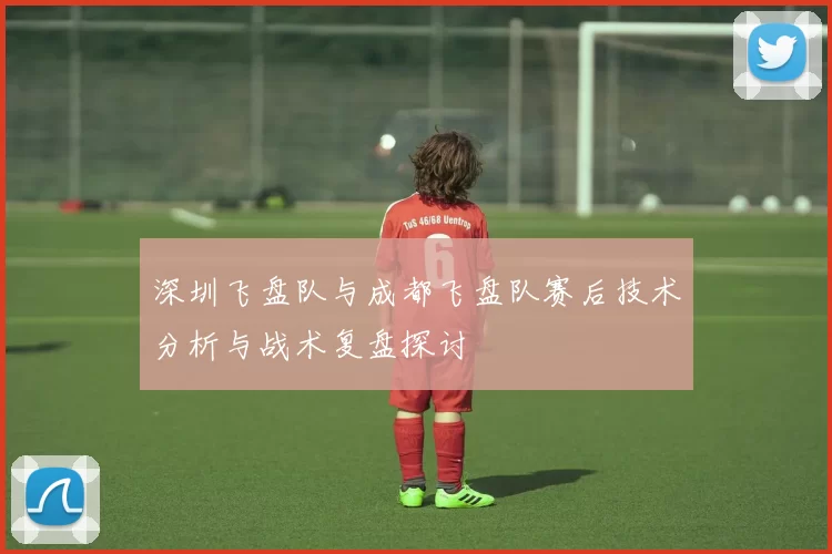 深圳飞盘队与成都飞盘队赛后技术分析与战术复盘探讨