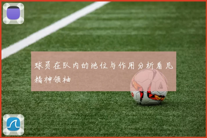 球员在队内的地位与作用分析看见精神领袖