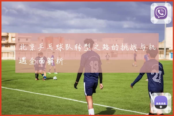 北京乒乓球队转型之路的挑战与机遇全面解析