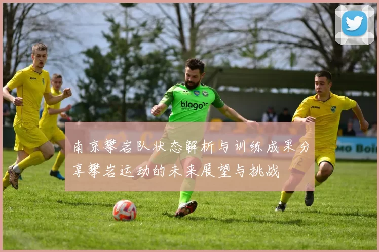 南京攀岩队状态解析与训练成果分享攀岩运动的未来展望与挑战