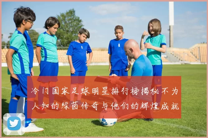 冷门国家足球明星排行榜揭秘不为人知的绿茵传奇与他们的辉煌成就