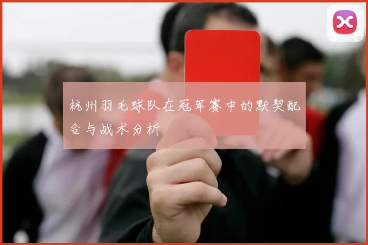 杭州羽毛球队在冠军赛中的默契配合与战术分析