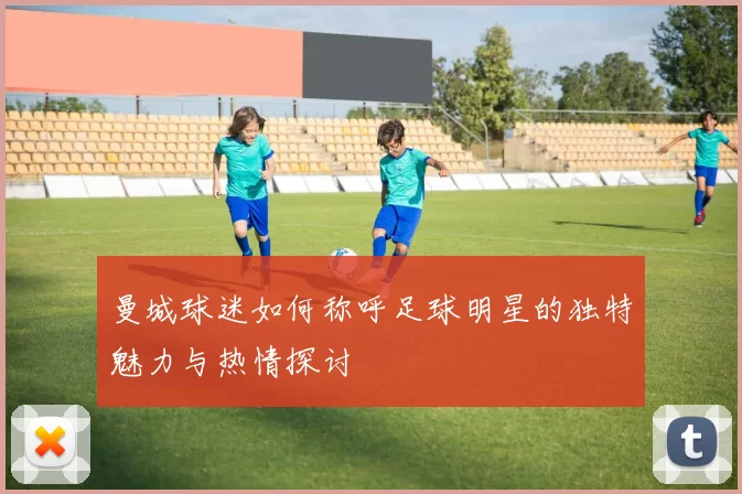 曼城球迷如何称呼足球明星的独特魅力与热情探讨