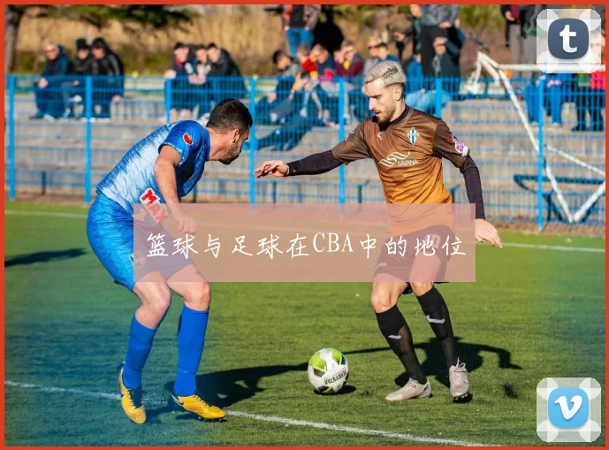 篮球与足球在CBA中的地位