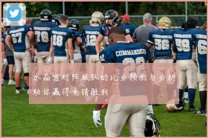 水晶宫对阵狼队的比分预测与分析助你赢得竞猜胜利